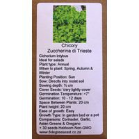 6 Degrees East Heirloom Herb Seeds - Chicory